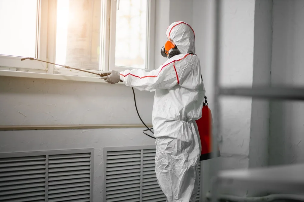 Professional mold remediation services in Suffield, CT